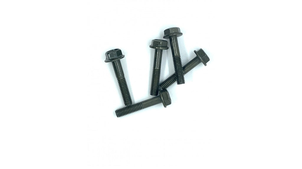 BOULON HEXAGON M6 X 30 TÊTE 10MM RA3-7-5 (SCOOTTERRE OEM)