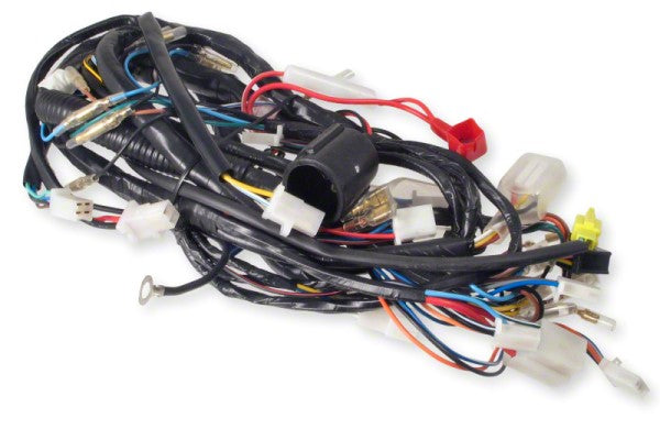 Complete Wiring Harness Pgo Big Max