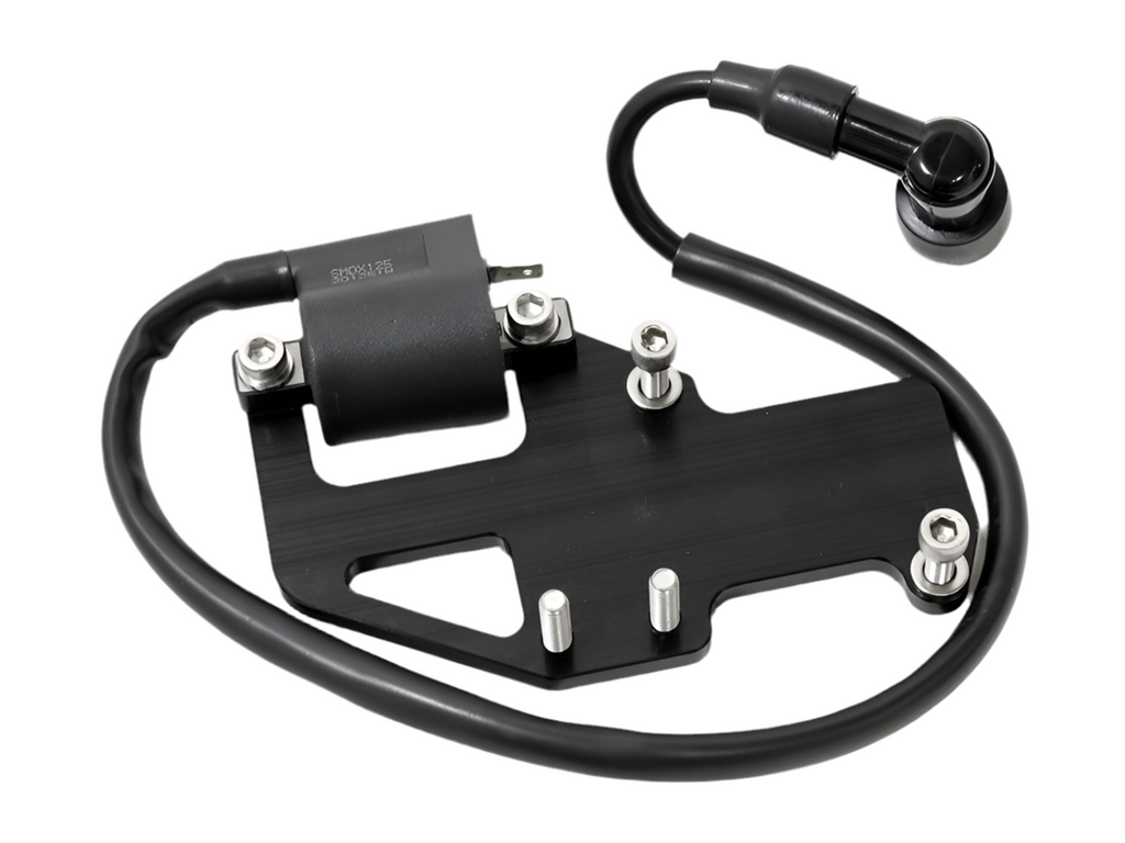 Black Fuel Pump & Coil Bracket TRS Honda Ruckus - Pompe à essence et support de bobine noirs TRS Honda Ruckus 