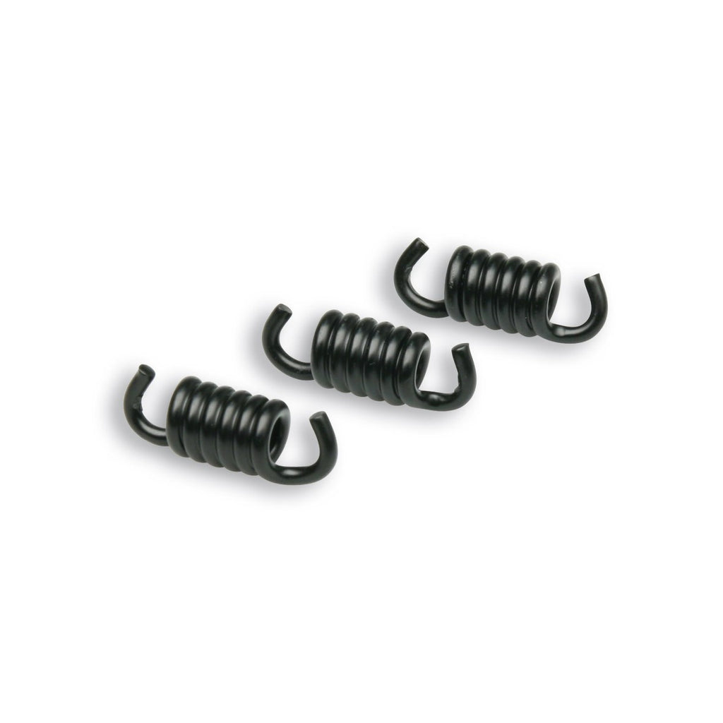 Clutch Springs Malossi black Fly Delta