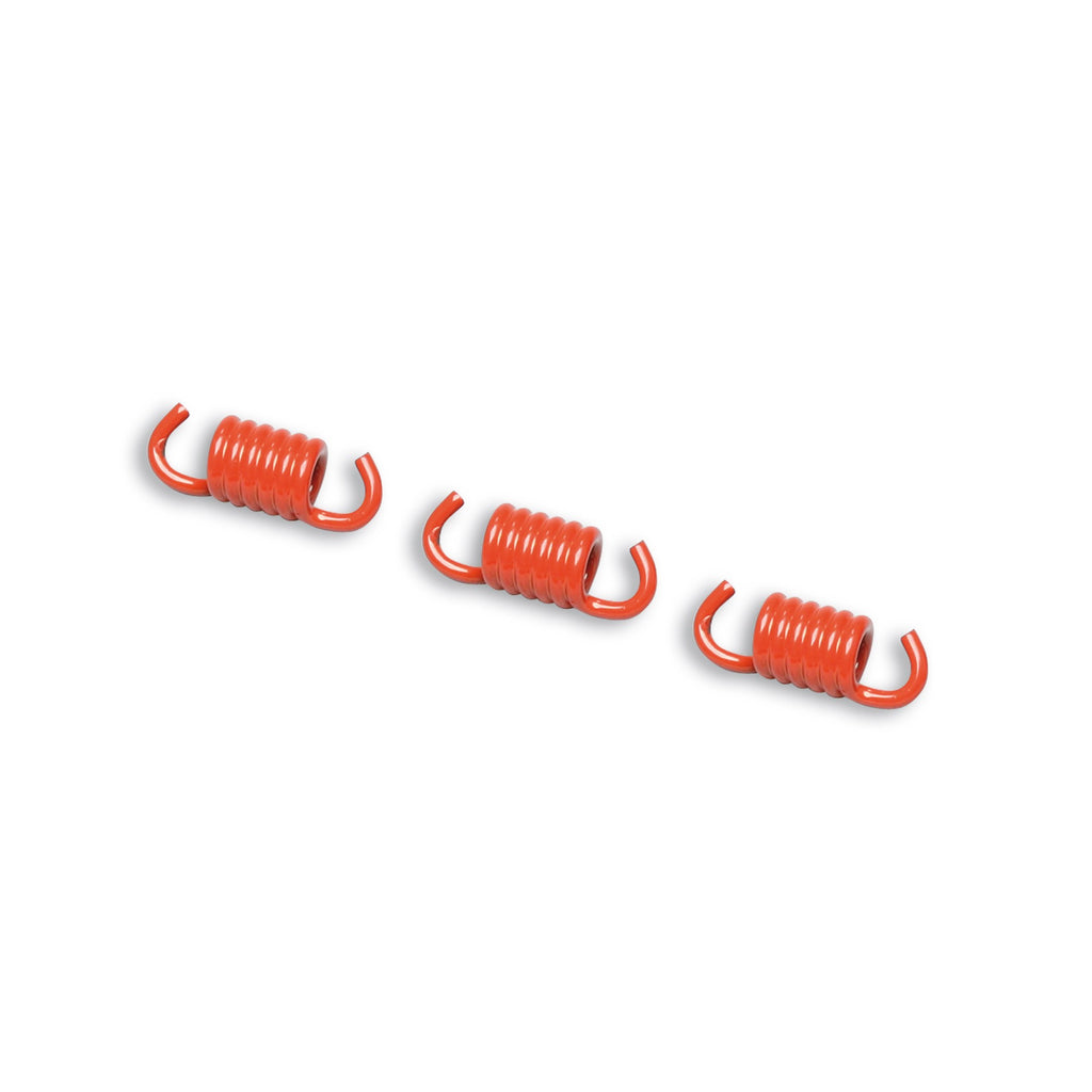 Clutch Springs Malossi red Fly Delta