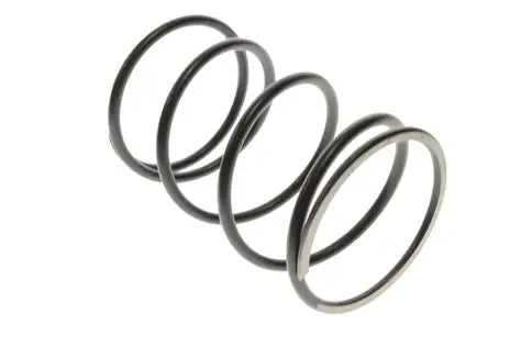 Torque Drive Spring Honda OEM Ruckus Zoomer NPS50 23233-GBL-J20
