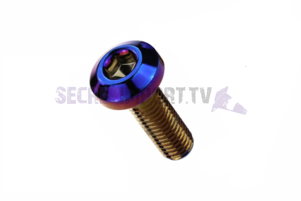 Brake Disc Screw Neochrome M8 x 1.25mm - Vis de disque de frein Néochrome M8 x 1,25mm - SI-DSCREW02