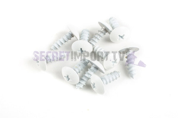 Fairing Screws M5X12Mm Str8 (10X) White