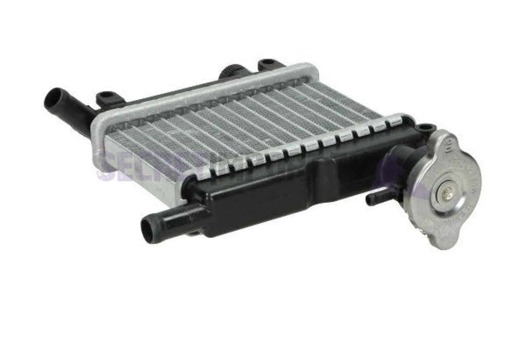 Radiator Assembly Yamaha OEM (Bws/Zuma 50F & 50X) - Ensemble de radiateur Yamaha OEM (Bws/Zuma 50F et 50X) - 10B-E2460-00-00