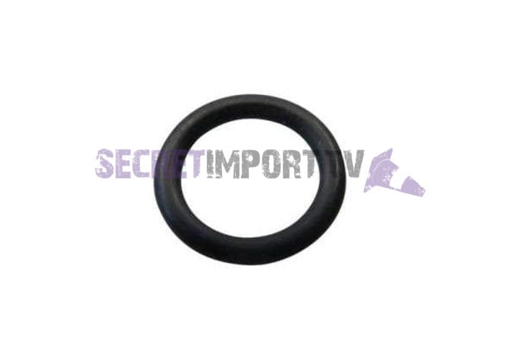 Rear Brake Fix Shaft O-Ring Adly OEM - Joint Torique pour arbre de fixation du frein arrière Adly OEM - 91307-101-000